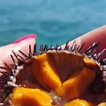 Oda ve Kahvaltı La Scalinata 2 3*